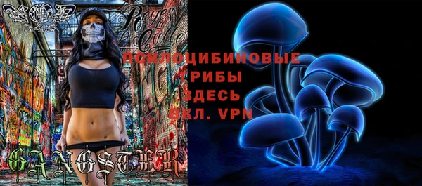 а пвп мука Елизово